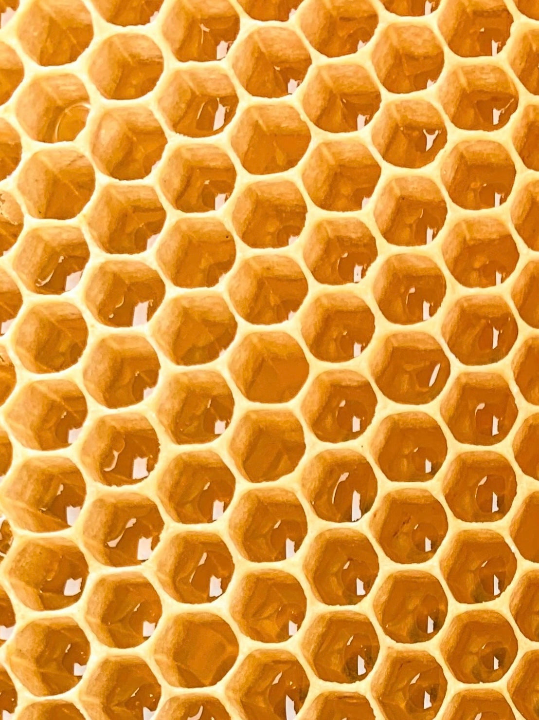 surový med